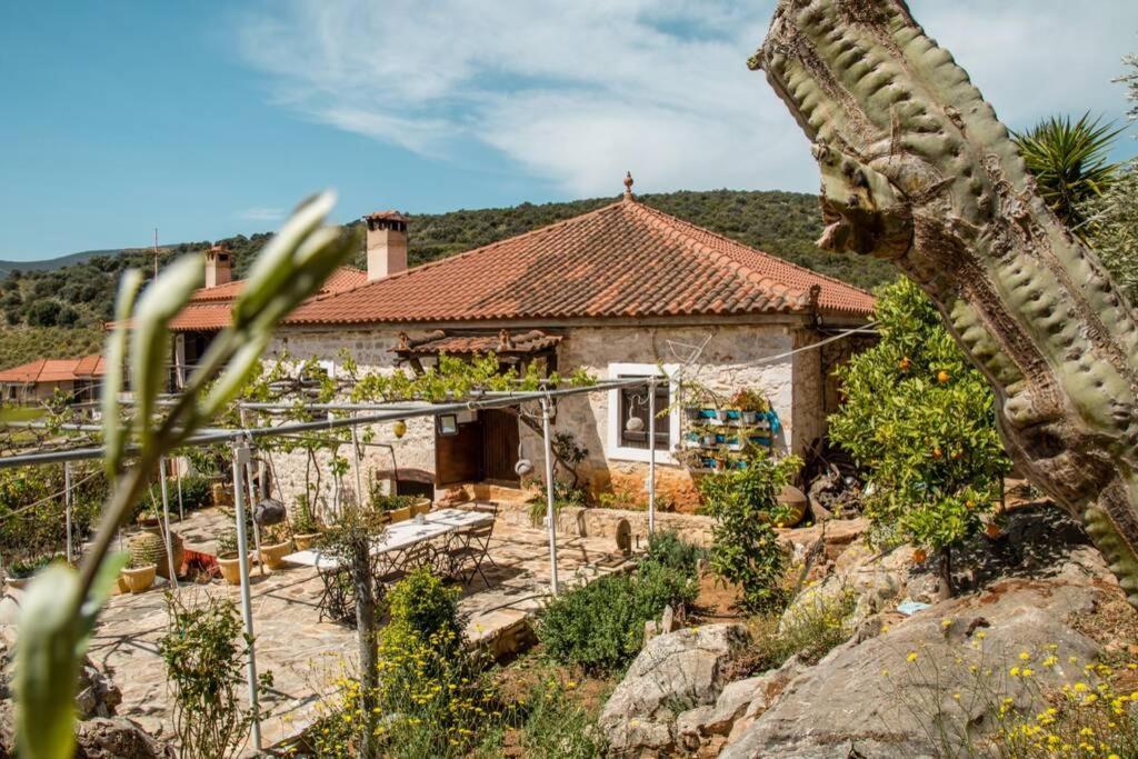 Villa Pontinos Old House Míloi Esterno foto