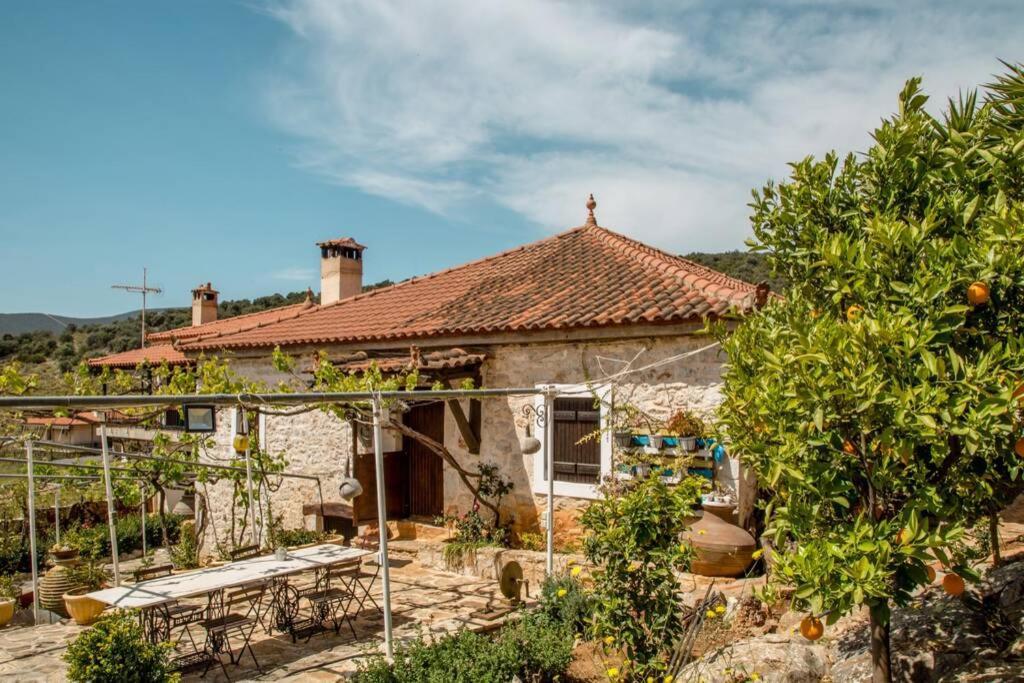 Villa Pontinos Old House Míloi Esterno foto